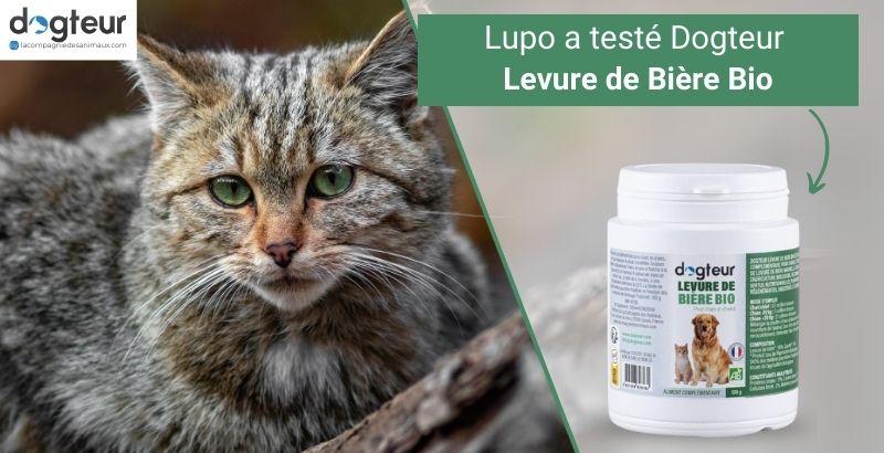 Lupo a testé Dogteur Levure de Bière pour chat