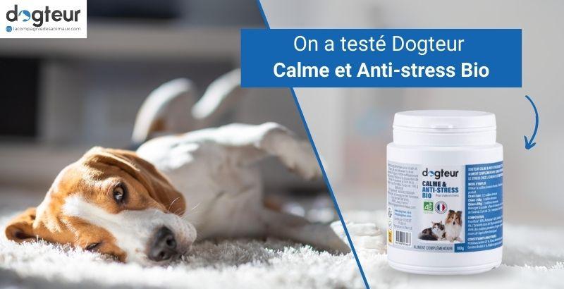 On a testé Dogteur Calme et Anti-stress Bio pour chien