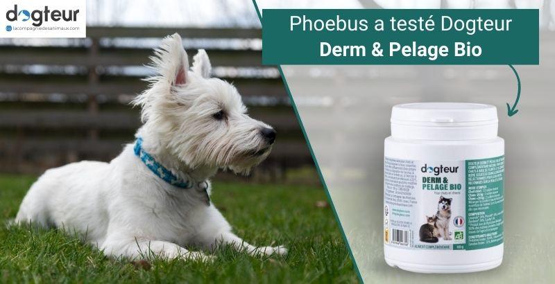 On a testé Dogteur Derm & Pelage Bio pour chien