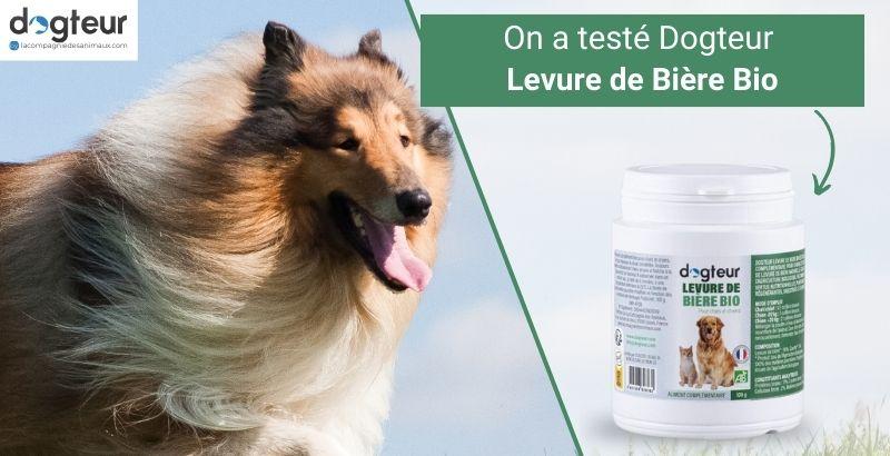 On a testé Dogteur Levure de bière pour chien