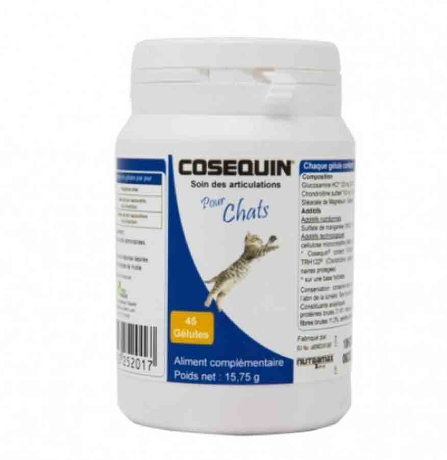 Cosequin Chat 15 Gelules Arthrose Chat Dogteur Com