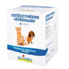 Osteocynesine Vétérinaire 100 cps