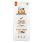 Brit Care Hypoallergenic Chien Junior Grande Race Agneau 3 kg