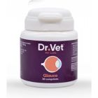 Arcanatura Dr Vet Glauco Chat Chien 30 cp