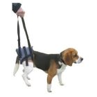 Harnais Handy Canis pour chien paralysé