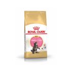 Royal Canin Maine Coon Kitten 10 kg- La Compagnie des Animaux