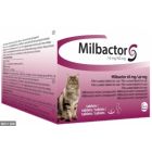 Milbactor Chat + de 2kg 2 cps