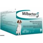 Milbactor Chien + de 5 kg 2 cps