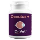 Arcanatura Dr Vet Occulus+ Chat Chien 30 cps