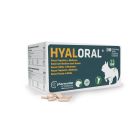 HYALORAL petit moyen chien 90 cps