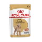 Royal Canin Caniche Adult mousse 12 x 85 g