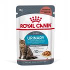 Royal Canin Féline Care Nutrition Urinary Care sauce 12 x 85 g