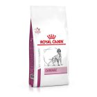Royal Canin Vet Chien Cardiac 14 kg