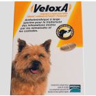 Veloxa Chien 2 cps