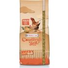 Versele Laga GOLD 4 Mix pour poules pondeuses 5 kg- La Compagnie des Animaux