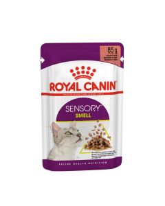 Royal Canin Chat Norvégien Adult 2 kg- La Compagnie des Animaux