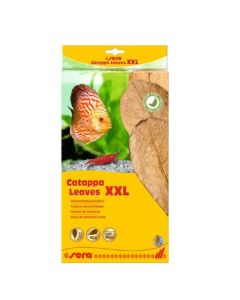 Sera Catappa Leaves Feuilles de badamier XXL - Destockage