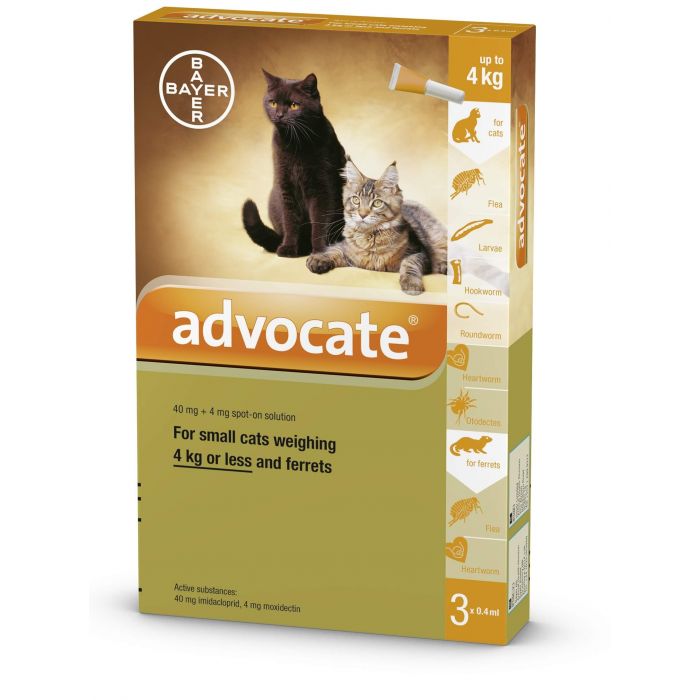 Advocate Petits Chats Furet Antiparasitaire Dogteur