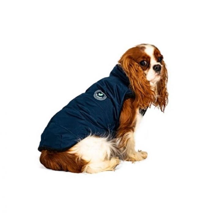 manteau beagle