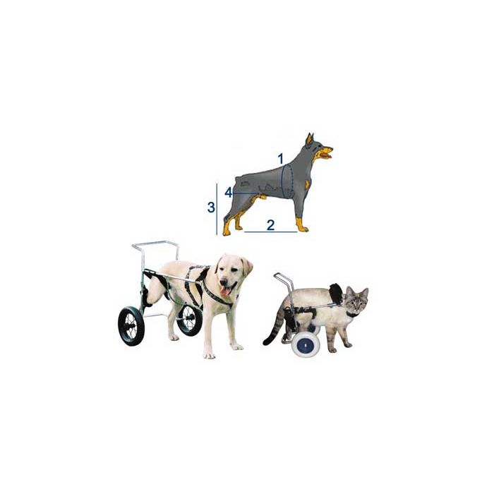 Chariot Canis Mobile Pour Chien Paralyse Du Train Arriere Pm