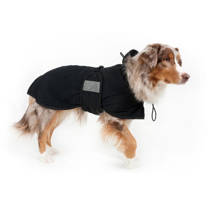 Manteau Filet Back On Track pour chien taille 59 cm, Chien