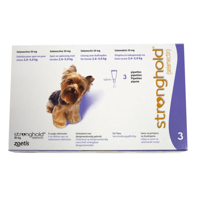 Stronghold Antiparasitaire Chien Dogteur Com