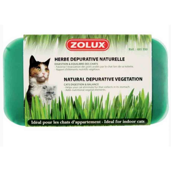 Herbe à chat naturelle Zolux  Digestion et équilibre du Chat