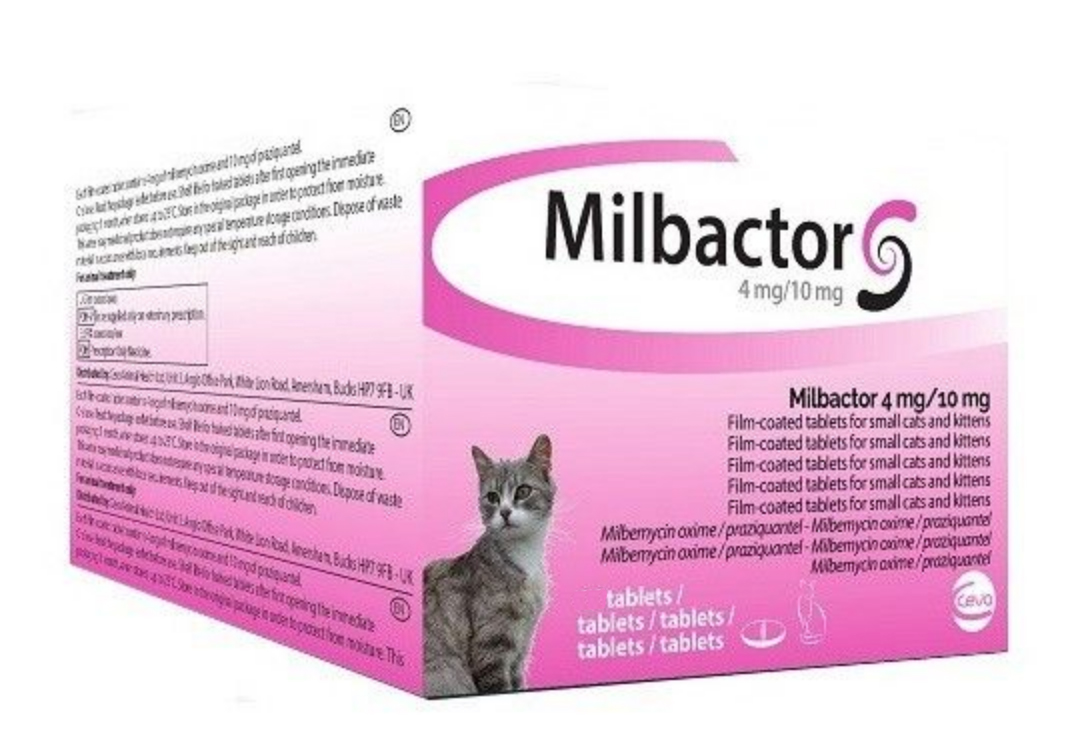 Milbactor Chaton Chat Moins De 2kg 2 Cps Vermifuge Chat Dogteur Com