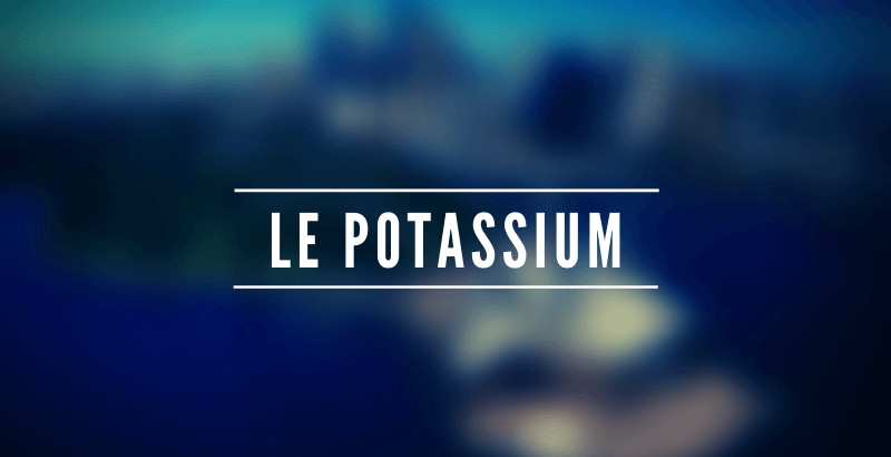 Conseil Veterinaire Blog Les Nutriments Le Potassium