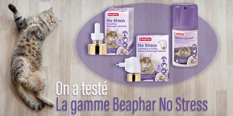Test Produit Gamme Calmante Beaphar Pour Chat Stresse