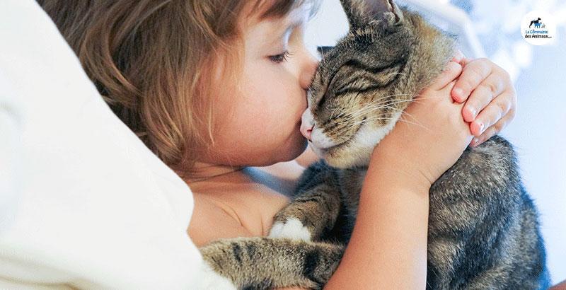 Conseil Veterinaire Blog Enfants Chiens Et Chats Quels Dangers