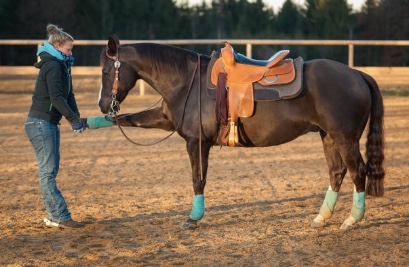 Quels Sont Les Exercices D Assouplissements Pour Le Cheval